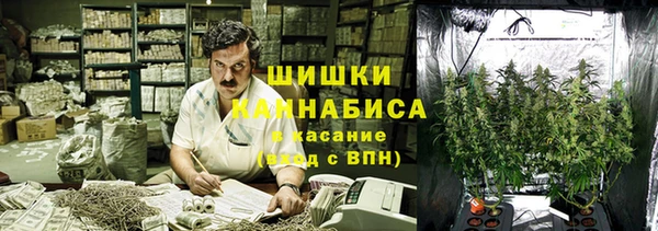 прущая мука Белокуриха