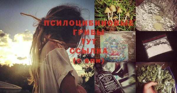 прущая мука Белокуриха